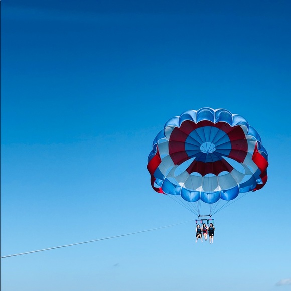 Meet your Posher, Daisy - Picture 1 of 1